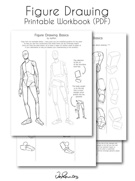 How to Draw the Torso: Step by Step Tutorial + Free Practice Worksheet (Printable) — JeyRam Art Figure Drawing Tutorial, Drawing Tutorials For Beginners, Drawing Anatomy, Anatomy Tutorial, Body Drawing Tutorial, Human Figure Drawing, Human Figures, Drawing Quotes, Drawing For Beginners