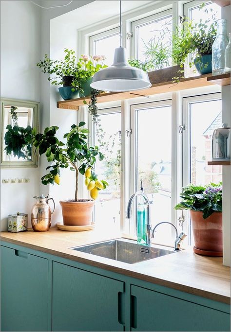 Plants bring truly unrivaled detail into the home. Regardless of your preference — a hanging unit, a floating ledge, or a simple perch — allow the picture-perfect spots ahead to serve as the plant-spiration you need. #hunkerhome #plants #window #windowplants #hangingplants Kitchen Window Shelf, Kitchen Window Shelves, Kitchen Lighting Over Table, Window Plant Shelf, Kitchen Sink Window, Model Dapur, Window Shelf, Window Plants, Kitchen Plants