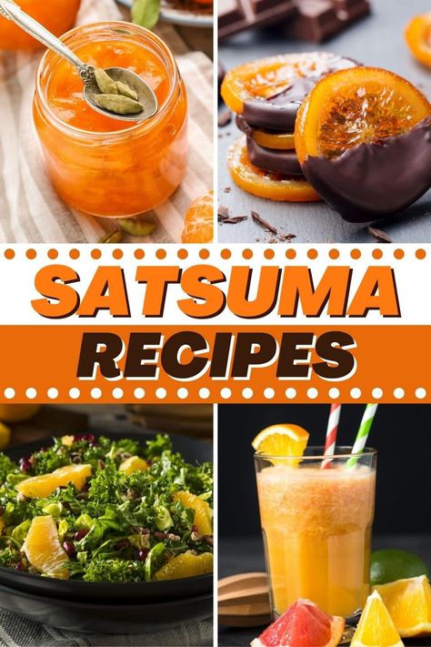 These satsuma recipes are full of citrus flavor! From jelly to salad to smoothies, this variety of oranges makes some truly tasty dishes. Satsuma Marmalade Recipes, Satsuma Pepper Jelly Recipe, Satsuma Jelly Recipes, Satsuma Jam Recipe, Mandarins Recipes, Satsuma Jelly, Satsuma Recipes, Satsuma Fruit, Jalapeno Jelly Recipes