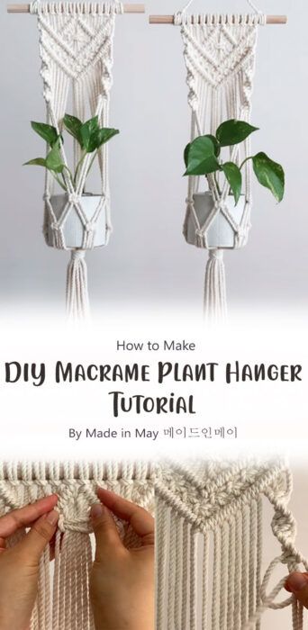 DIY Macrame Plant Hanger Free Tutorial Ideas (Part 2) - Carolinamontoni.com Macrame Starter Project, Macrame Plant Wall Hanger Diy, Macrame Plant Hanger Free, Diy Macrame Plant Hanger Tutorials, Plant Hanger Tutorial, Macrame Wall Hanging Tutorial, Wall Plant Hanger, Macrame Plant Hanger Tutorial, Free Macrame Patterns