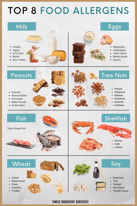 Did you know that the top 8 food allergens make up 90% of all food allergies today? This list of the Top 8 food allergens will give you examples of food allergen examples and safe food substitutions. Get our handy food allergy infographic for daily use. https://www.singleingredientgroceries.com/top-8-food-allergens-and-food-substitutions-you-should-know/ #peanutallergy #foodallergy #milkallergy Alpha Gal Syndrome, Fish Allergy, Shellfish Allergy, Tree Nut Allergy, Food Allergies Awareness, Food Protein, Allergy Awareness, Starting Solids, Peanut Allergy