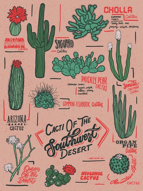 Cacti Of The Southwest :: Behance Candle Business Logo, Posca Marker Art, Southwest Aesthetic, Western Collage, Cacti Art, Desert Graphic, Cactus House, Southwest Pattern, Cactus Western