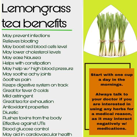 Lemongrass tea benefits 
Wellness 
Health benefits 
Healthy lifestyle 
Healthy eating
Yea time Lemongrass Health Benefits, Benefits Of Lemongrass Tea, Lemon Grass Tea Benefits, Benefits Of Orange Peel, Lemongrass Benefits, Health Benefits Of Moringa, My Body Is My Temple, Tea In The Morning, Benefits Of Food