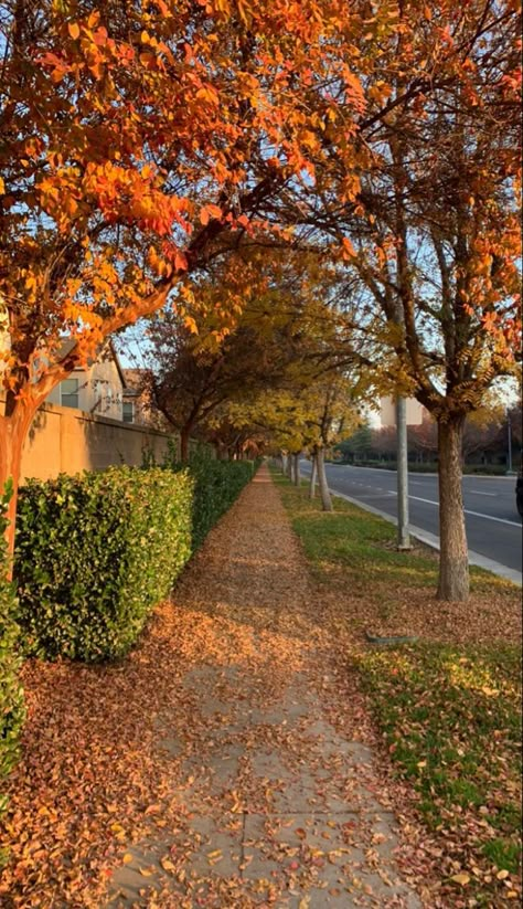 Fall Evening, Fall Mood Board, Fall Landscape, Fall 24, Fall Inspo, Autumn Scenery, Fall Is Here, Fall Feels, Best Seasons