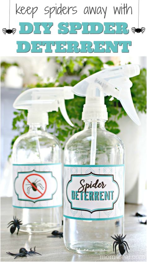 3 Ingredient Homemade Spider Deterrent and Killer Spider Spray Diy, Homemade Spider Spray, Spider Deterrent, Spiders Repellent Diy, Spider Repellant, Natural Spider Repellant, Spider Repellent, Spider Spray, Spider Killer