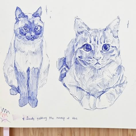 Ballpoint pen sketches ✍️✨ I'm never sure if people want to see quick sketches like this, or if people prefer just seeing finished pieces… | Instagram Drawing Illustrations Sketches, Thank You Drawing, Animals Drawing Reference, Cool Pen Drawings, Cool Animal Drawings, Ballpoint Pen Sketch, Emily Hughes, Pen Sketching, Drawing With Pen