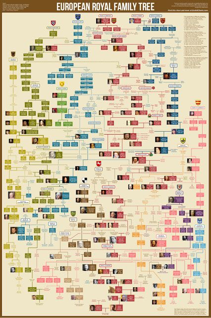 English is FUNtastic: British Royal Family Tree European Royal Family Tree, Royal Family Tree, British Royal Family Tree, American History Timeline, Family Tree Poster, Royal Family Trees, Family Tree Chart, Tree Poster, College Board