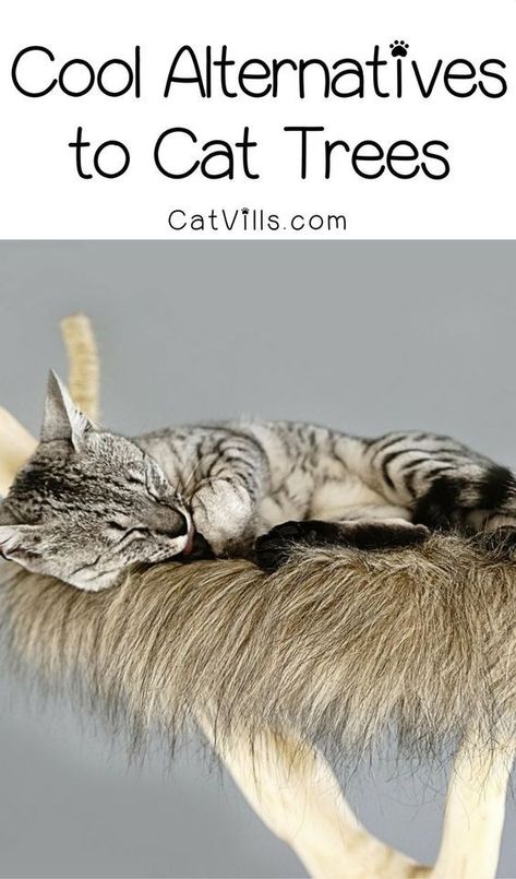 Don’t love the look of store-bought cat condos? Check out these 5 incredibly cool alternative cat tree ideas! Diy Cat Trees, Cat Tree Ideas, Cat Condos, Toni Stark, Diy Cat Tree, Save Nature, Cat Towers, Cat Whisperer, F2 Savannah Cat