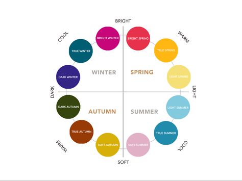 In this category, we explore each of the twelve sub-seasons of the seasonal colour analysis in greater detail. Find out which colours work best on you. True Winter Color Palette, Seasons Chart, True Spring Colors, Light Summer Color Palette, Soft Autumn Color Palette, Soft Summer Color Palette, Color Seasons, Birth Colors, Soft Summer Colors