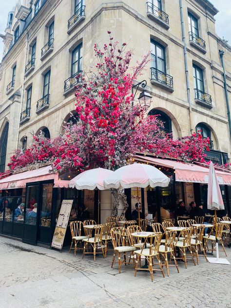 Calles de Paris #paris #vintage #photography #photo #street #streetphotography #wallpaper #flowers Paris Streets, Paris Store, Worlds Collide, Wallpaper Flowers, Paris Vintage, Paris Wedding, Paris Paris, Paris Street, Amelie