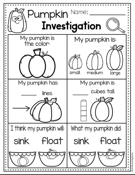 Pumpkin Lesson Plans, Pumpkin Activities Preschool, Preschool Pumpkin, Pumpkin Investigation, Pumpkin Lessons, Pumpkins Preschool, Pumpkin Coloring, Counting Activities Preschool, Fall Lesson Plans