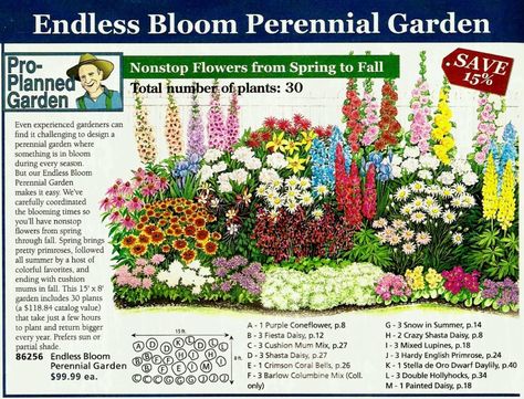 Flower Garden Layouts, Perennial Garden Plans, Garden Front Of House, Flower Garden Plans, Garden Flowers Perennials, Flower Bed Designs, Backyard Garden Layout, Perennial Flowers, Garden Plan