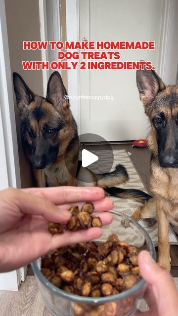 Ruby & Red on Instagram: "Very easy homemade dog treats. 

#treats #food #pets #dogslife #dogsofinsta #germanshepherd #gsdpuppy #reels #reelsvideo #insta #instadaily" Health Dog Treats, How To Make Dog Treats Easy, Fancy Dog Treats Homemade, Puppy Treats Homemade Easy, Training Treats For Puppies, Long Lasting Dog Treats Homemade, Dog Recipes Food, Homemade Healthy Dog Treats, Puppy Treats Homemade