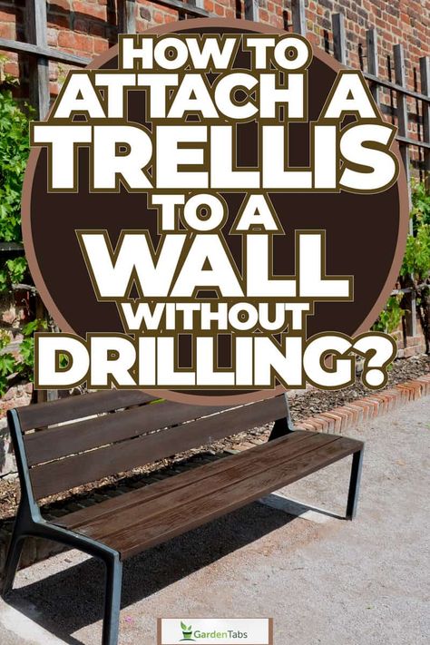 How To Attach A Trellis To A Wall Without Drilling? [Step By Step Guide] Attaching Trellis To House, Diy Trellis On Brick Wall, Diy Wall Trellis Outdoor, Wall Mounted Trellis Outdoor, Trellis Attached To House, Trellis On House Wall, Garden Wall Trellis Ideas, Outdoor Wall Trellis Ideas, Trellis Against Brick Wall