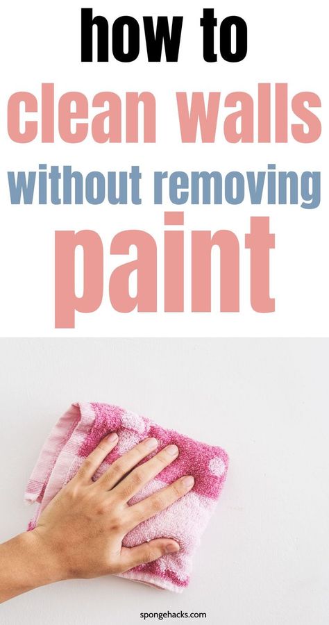 Just painted your walls? Learn how to clean walls without removing paint in 28 ways Washing Painted Walls, Best Ways To Clean Walls, How To Clean Textured Walls, What To Use To Clean Walls, Clean Walls Without Removing Paint, How To Clean Walls Without Ruining Paint, How To Clean Walls, Best Way To Clean Walls, How To Remove Adhesive