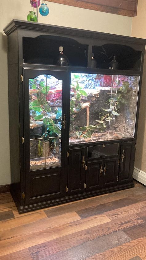 DIY Reptile Enclosures Homemade Reptile Enclosure, Custom Reptile Enclosure, Custom Snake Enclosures, Goth Snake Enclosure, Diy Bearded Dragon Enclosure How To Build, Cute Snake Enclosure, Burmese Python Enclosure, Diy Lizard Enclosure, Diy Snake Enclosure How To Build