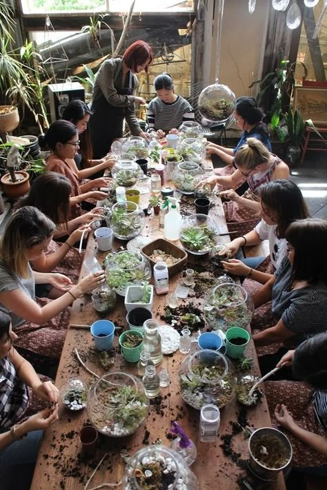 Terrarium Party, Plant Swap, Terraria Party, Plant Workshop, Terrarium Workshop, Tattoo Plant, Plant Party, Garden Workshops, Plant Shop