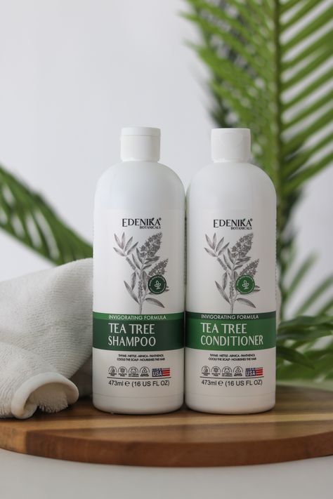 Edenika Botanicals' Tea Tree Shampoo and Conditioner Set. Shampoo Product, Tea Tree Shampoo, Vegan Hair Care, Shampoo And Conditioner Set, Lifeless Hair, Graphic Design Course, Shampoo Bottles, Vegan Hair, Hair Healthy