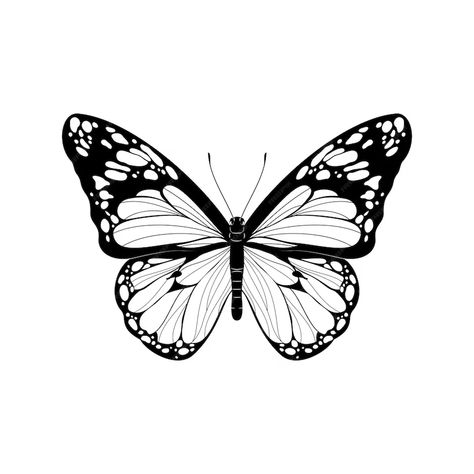 Premium Vector | Beautiful butterfly black and white butterfly vector illustration realistic hand drawn butterfly Aesthetic Butterfly Outline, Butterfly Illustration Black And White, Black Butterfly Drawing, Butterfly Drawing Black And White, Black And White Butterfly Drawing, Butterfly Illustration Design, Black And White Butterfly Tattoo, Cute Butterfly Drawing, Butterfly Illustration Art