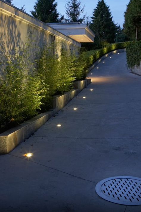 Solar Studs Backyard Lighting Ideas, Outdoor Tree Lighting, Support Logo, Backyard Trees, Driveway Lighting, Landscape Lighting Design, Driveway Design, Driveway Landscaping, Facade Lighting