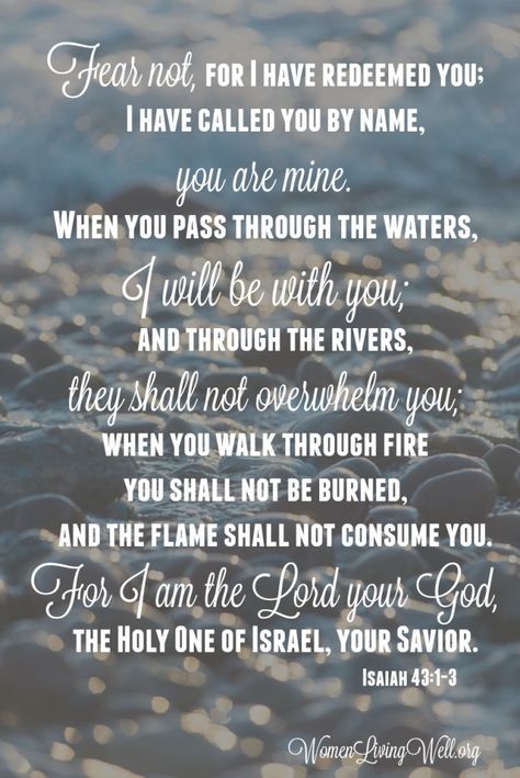 Isaiah 43:1-3 Bible Prayers, Favorite Bible Verses, Scripture Quotes, Verse Quotes, Bible Inspiration, Scripture Verses, Bible Verses Quotes, Bible Scriptures, Trust God