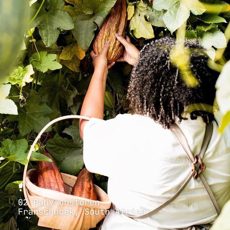 Permaculture Farm, Farm Visit, Loofah Sponge, Swipe Right, Natural Form, Cover Image, Plant Fibres, Maasai, Natural Forms