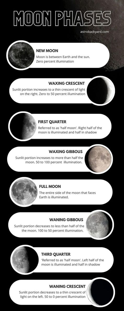 Descriptions of each phase of the moon from new moon to full. Phases Of The Moon Poster, Moon Phases Information, Moon Phases Photography, Moon Phases Couple, Phases Of The Moon Project, Moon Phases Aesthetic, Moon Phase Photography, Astronomy Notes, Moon Infographic