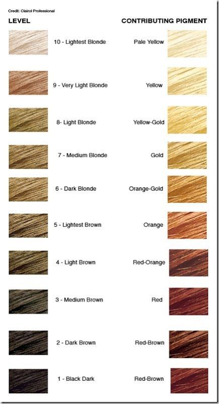 Level 8 Blonde Hair, Hair Level Chart, Level 8 Hair Color, Level 8 Blonde, Toning Bleached Hair, Medium Ash Blonde Hair, Ash Blonde Hair Dye, Hair Chart, Schwarzkopf Hair Color