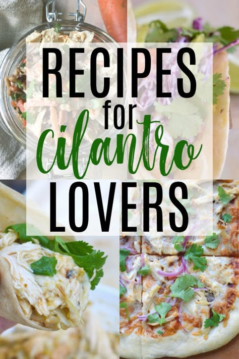 Recipes Using Cilantro Dinners, Healthy Recipes With Cilantro, Uses For Cilantro Recipe, Cilantro Side Dish, Food With Cilantro, Cilantro Dinner Recipes, Dried Cilantro Recipes, Recipes For Cilantro, Cilantro Recipes Ideas Dinners