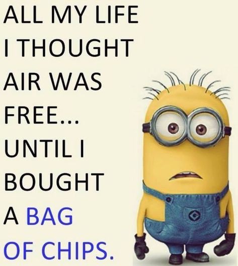 Minion Meme, Minion Humor, Minions Humor, Funny Minion Pictures, Funny Minion Memes, Minion Memes, Minion Jokes, Minion Pictures, A Minion