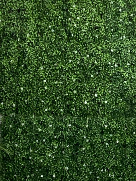 "Elevate Your Home Décor with Artificial Grass Art"

Brighten up your space with artificial grass wall art. Ideal for eco-friendly and stylish home décor. #GreenDecor #HomeTrends #WallArtIdeas Wedding Ceremony Backdrop Diy, Grass Texture, Faux Boxwood, Artificial Green Wall, Grass Artificial, Artificial Hedges, Plastic Mat, Backdrop Diy, Classic Christmas Decorations