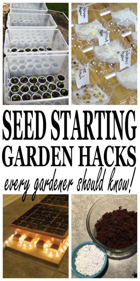 Growing A Garden, Eating Fresh, Organic Vegetable Garden, Garden Hacks, Seed Saving, Veg Garden, Home Vegetable Garden, Organic Gardening Tips, Hydroponic Gardening