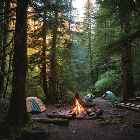 Camping in Woods: Cozy campsite set in a serene forest, with tents pitched and a warm fire crackling. #camping #forest #campfire #tents #woods #nature #outdoor #adventure #aiart  ... daha fazla Nature Camping Aesthetic, Backcountry Camping Aesthetic, Camping In Woods, Camping Asthetics Photos, Outdoor Vision Board, Nature Camp Ideas, Camping Fire Aesthetic, Cozy Camping Aesthetic, Camping Mood Board