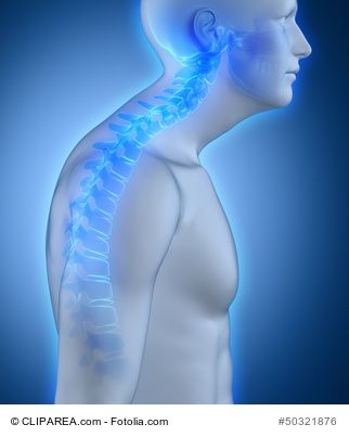 In my article here http://fitnessoriented.com/videos-best-forward-head-posture-exercises/ I will teach you Great exercises you can do to help correct bad Forward Head Posture Trapezius Muscle Pain, Neck Posture, Forward Head Posture Exercises, Posture Fix, Exercise Science, Healing Body, Forward Head Posture, Gluteal Muscles, Posture Exercises