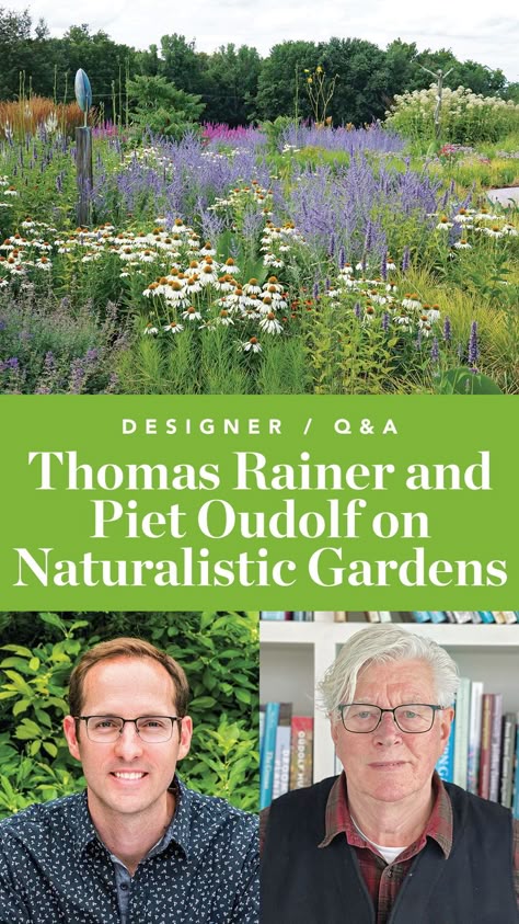 Evergreen Landscape Design, Piet Oudolf Garden Design, Nordic Garden Design, Piet Oudolf Planting Plan, Thomas Rainer, Piet Oudolf Garden, No Till Gardening, Oudolf Garden, Garden Paths And Walkways