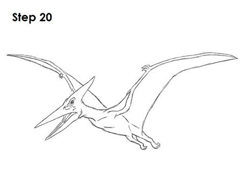 Teradactyl Drawing, Dinousar Drawing, Pterosaur Drawing, Flying Dinosaur Drawing, Pteranodon Drawing, Pteranodon Art, Dinosaur Sketch, Drawing Instructions, Dinosaur Tattoos