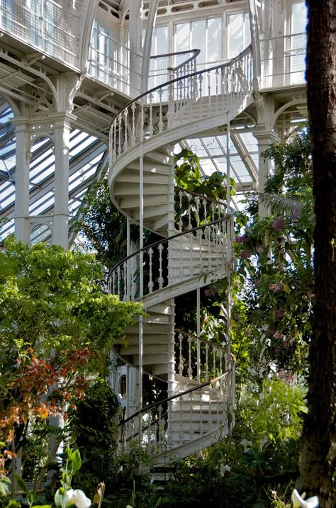 You spin me right round | In the palm house at Kew - obviously I didn't go up this staircase.... but Neil did and got a great view. Orchid House, Iron Grill, Plants Growing, Spiral Stairs, Stairway To Heaven, Kew Gardens, Spiral Staircase, Horror Story, Staircases