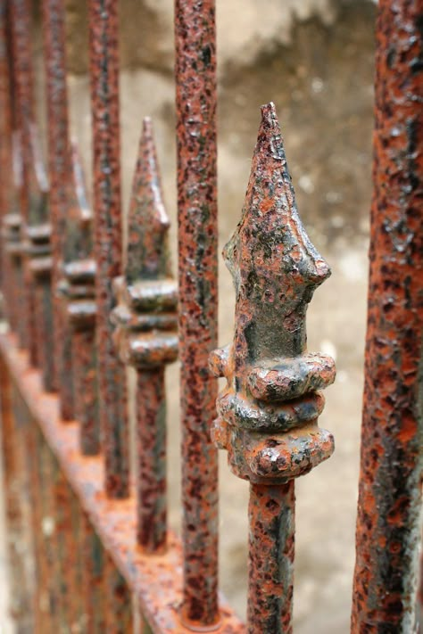 Rustic rod iron Rusting Of Iron, Rust Photography, Rotting Fruit, Rust Never Sleeps, Pvc Fence, Iron Rust, Dead Flowers, Rod Iron, Fruit Animals