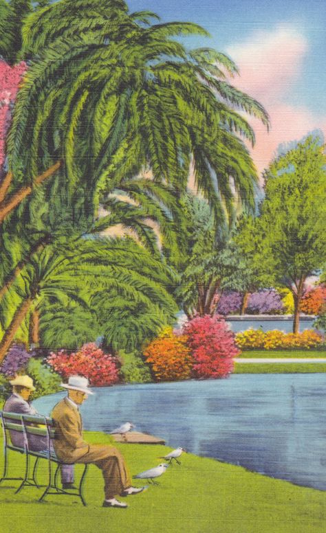 St. PETERSBURG, FLORIDA - Mirror LAKE, Men Sitting on a Bench, Vintage Linen Postcard, c. 1940s, Tichnor Bros. by AgnesOfBohemia, $6.99 Florida Postcard, Sitting Bench, Sitting On A Bench, Vintage Postcards Travel, Mirror Lake, St Petersburg Fl, St Petersburg Florida, Old Florida, Vintage Florida