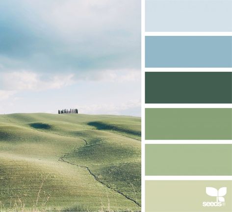 Seeds Color Palette, Seeds Color, Color Palette Challenge, Green Colour Palette, Design Seeds, Color Palette Design, Colour Schemes, Color Pallets, Green Aesthetic