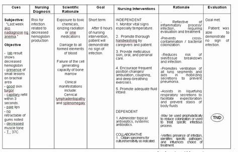 30 Examples Of Nursing Care Plans | Example Document Template Care Plan Template, Nursing Home Care, Family Chore Charts, Action Plan Template, Nursing Care Plan, Teaching Plan, Simple Template, Eat Healthier, Spanish Onion