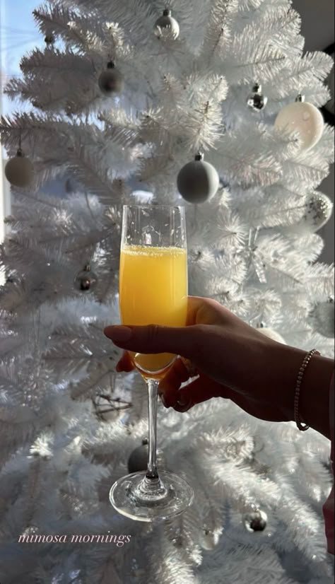 Mimosa Instagram Story, Mimosas Aesthetic, Brunch Instagram Story, Nail Inspo White, Christmas Morning Brunch, Insta Post Ideas, Copper Coins, Insta Post, White Christmas Tree