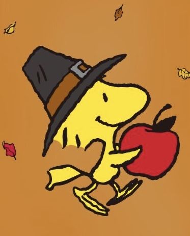 Snoopy And Woodstock Thanksgiving, Pumpkin Charlie Brown, Snoopy Autumn Aesthetic, Thanksgiving Widget Pictures, Snoopy The Great Pumpkin, Fall Peanuts Aesthetic, Woodstock From Charlie Brown, Snoopy And Woodstock Fall, Fall Snoopy Pictures