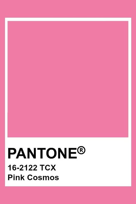 Pink Cosmos Pantone, Pink Color Palette Pantone, Pink Swatches Colour Palettes, Pantone Colour Palettes Pink, Colour Swatches Pantone, Pink Pantone Colors, Pink Pantone Palette, Pantone Pink Shades, Pantone Color 2023