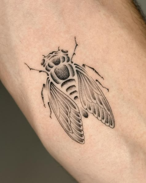 Cicada Tattoo Meaning, Simple Cicada Tattoo, Cicada Tattoo Traditional, Chrysalis Tattoo, Traditional Sunflower, Spiral House, Ink Blot Test, Ladybird Tattoo, Cicada Tattoo