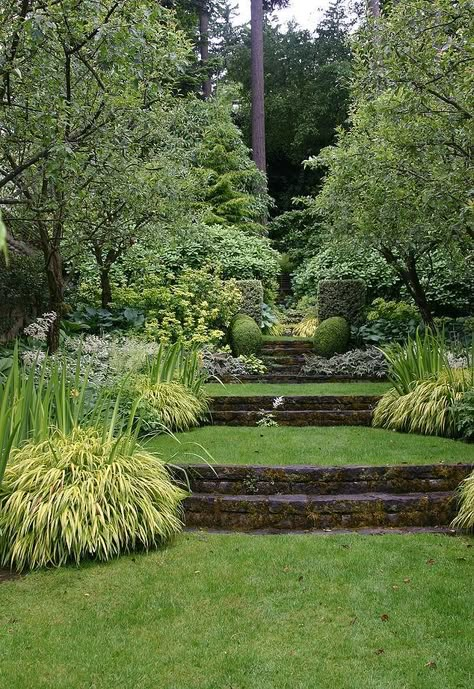 watch a gardener s diary on hulu com a beautiful terraced garden in portland, gardening Garden With Steps, Terraced Garden, Sloped Backyard, Garden Stairs, Tiered Garden, Hillside Landscaping, Sloped Garden, Garden Steps, Magic Garden