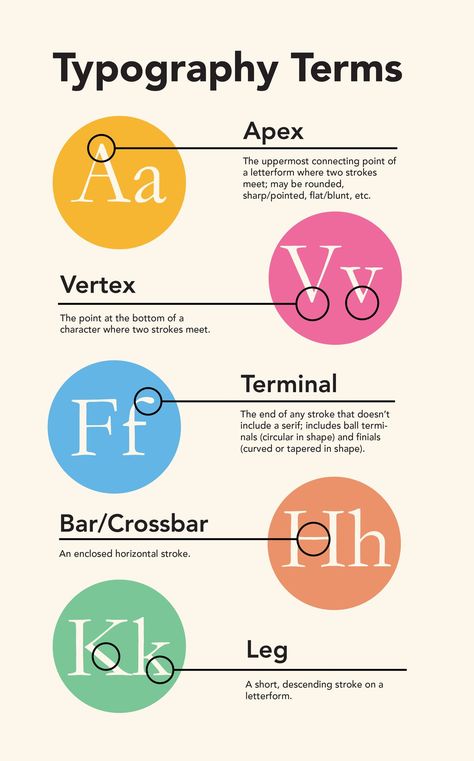 Typographic Infographic, Typography Infographic, Typography Types, Typography Examples, Infographic Typography, Typography Infographic Design, Adobe Tips, Types Of Typography, Guide Illustration