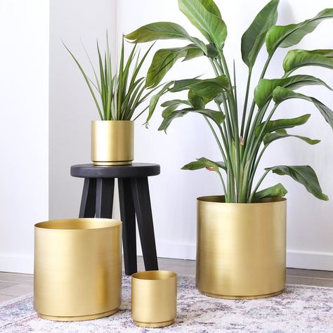 Brass Metal Planter Diy Planters Indoor, Nail Art Flower, Large Indoor Plants, Metal Flower Pots, Easy Plants To Grow, Brass Planter, Plant Stand Indoor, Modern Planters, Metal Planters