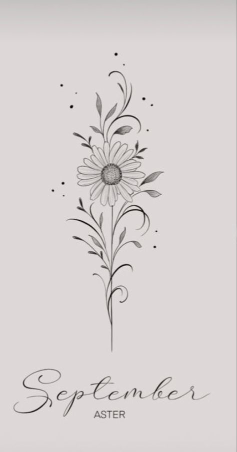 Tattoos Birth Flowers, December Birth Flower Tattoo, Aster Tattoo, Aster Flower Tattoos, September Aster, December Birth Flower, September Birth Flower, Flower Tattoo Drawings, September Flowers