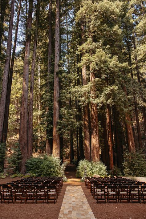 Wedding Venues Forest Woods, Outdoor Wedding Pine Trees, Wedding In The Fall Ideas, Woodsy Outdoor Wedding, Affordable Mountain Wedding, Pacific Northwest Wedding Venues, Forest Wedding Signs, Wedding In Redwoods, Simple Wedding In The Woods